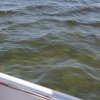 Marsala_2012 (313)